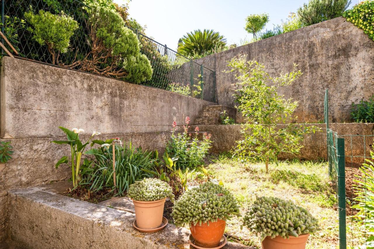 Apartment Kos Dubrovnik Exterior foto